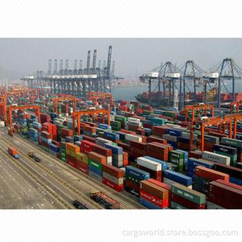 Shipping, Chain Management, Customs and Warehouse Service